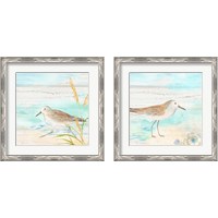 Framed 'Sandpiper Beach 2 Piece Framed Art Print Set' border=