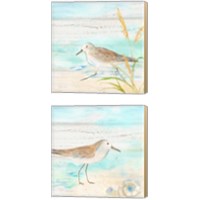 Framed 'Sandpiper Beach 2 Piece Canvas Print Set' border=
