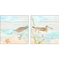 Framed 'Sandpiper Beach 2 Piece Art Print Set' border=