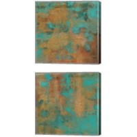 Framed Rustic Elegance 2 Piece Canvas Print Set