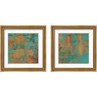 Framed Rustic Elegance 2 Piece Framed Art Print Set