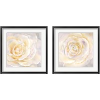 Framed 'Watercolor Rose Closeup 2 Piece Framed Art Print Set' border=