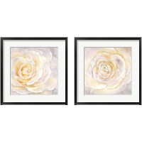 Framed 'Watercolor Rose Closeup 2 Piece Framed Art Print Set' border=