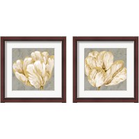 Framed Floral Fresco Grey 2 Piece Framed Art Print Set