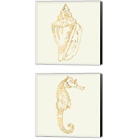 Framed 'Coastal Breese Shell Sketches 2 Piece Canvas Print Set' border=