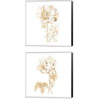 Framed Gilded Botanical 2 Piece Canvas Print Set