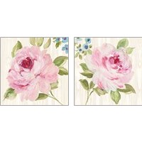 Framed 'Driftwood Garden 2 Piece Art Print Set' border=