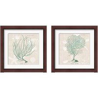 Framed Gorgonia Granulata on Linen Sea Foam 2 Piece Framed Art Print Set