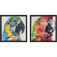 Framed Parrot 2 Piece Framed Art Print Set