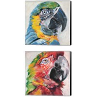 Framed 'Parrot 2 Piece Canvas Print Set' border=