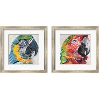Framed Parrot 2 Piece Framed Art Print Set
