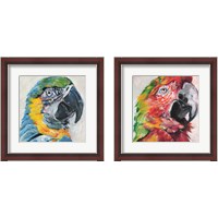 Framed 'Parrot 2 Piece Framed Art Print Set' border=