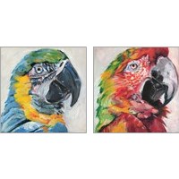Framed Parrot 2 Piece Art Print Set