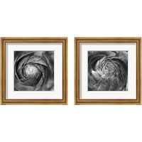Framed Ranunculus Abstract BW 2 Piece Framed Art Print Set