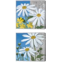 Framed 'Summer Garden Silver 2 Piece Canvas Print Set' border=