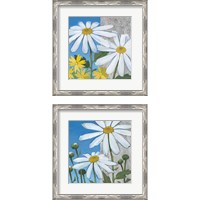 Framed 'Summer Garden Silver 2 Piece Framed Art Print Set' border=