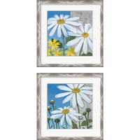 Framed 'Summer Garden Silver 2 Piece Framed Art Print Set' border=