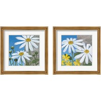 Framed Summer Garden 2 Piece Framed Art Print Set