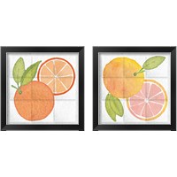 Framed Citrus Tile 2 Piece Framed Art Print Set