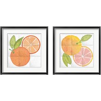 Framed 'Citrus Tile 2 Piece Framed Art Print Set' border=