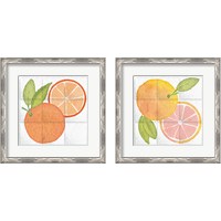 Framed 'Citrus Tile 2 Piece Framed Art Print Set' border=