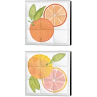 Framed 'Citrus Tile 2 Piece Canvas Print Set' border=