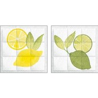 Framed 'Citrus Tile 2 Piece Art Print Set' border=