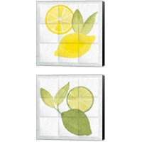 Framed 'Citrus Tile 2 Piece Canvas Print Set' border=