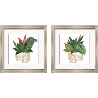 Framed Brainstem  2 Piece Framed Art Print Set