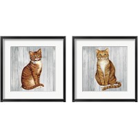Framed 'Country Kitty on Wood 2 Piece Framed Art Print Set' border=
