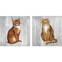 Framed 'Country Kitty on Wood 2 Piece Art Print Set' border=