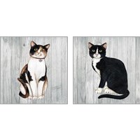 Framed 'Country Kitty on Wood 2 Piece Art Print Set' border=