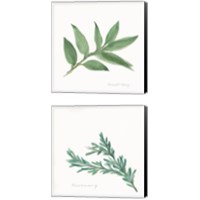 Framed 'Herbs 2 Piece Canvas Print Set' border=