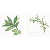 Framed Herbs 2 Piece Art Print Set