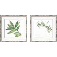 Framed 'Herbs 2 Piece Framed Art Print Set' border=