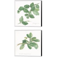 Framed 'Herbs on White 2 Piece Canvas Print Set' border=