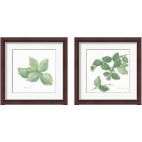 Framed Herbs on White 2 Piece Framed Art Print Set