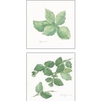 Framed Herbs on White 2 Piece Art Print Set