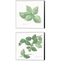 Framed Herbs on White 2 Piece Canvas Print Set
