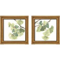 Framed Gingko Leaves on White 2 Piece Framed Art Print Set