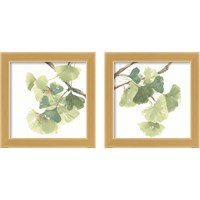 Framed 'Gingko Leaves on White 2 Piece Framed Art Print Set' border=