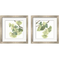 Framed 'Gingko Leaves on White 2 Piece Framed Art Print Set' border=