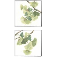 Framed 'Gingko Leaves on White 2 Piece Canvas Print Set' border=