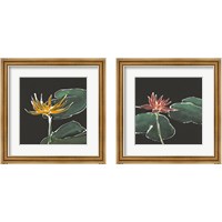 Framed 'Lily on Black  2 Piece Framed Art Print Set' border=