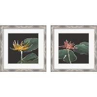 Framed Lily on Black  2 Piece Framed Art Print Set