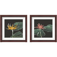 Framed 'Lily on Black  2 Piece Framed Art Print Set' border=