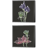 Framed 'Lotus on Black 2 Piece Canvas Print Set' border=