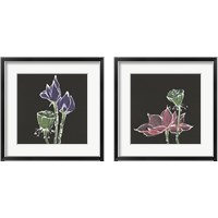 Framed 'Lotus on Black 2 Piece Framed Art Print Set' border=