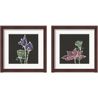 Framed 'Lotus on Black 2 Piece Framed Art Print Set' border=