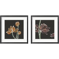 Framed 'Lotus on Black 2 Piece Framed Art Print Set' border=